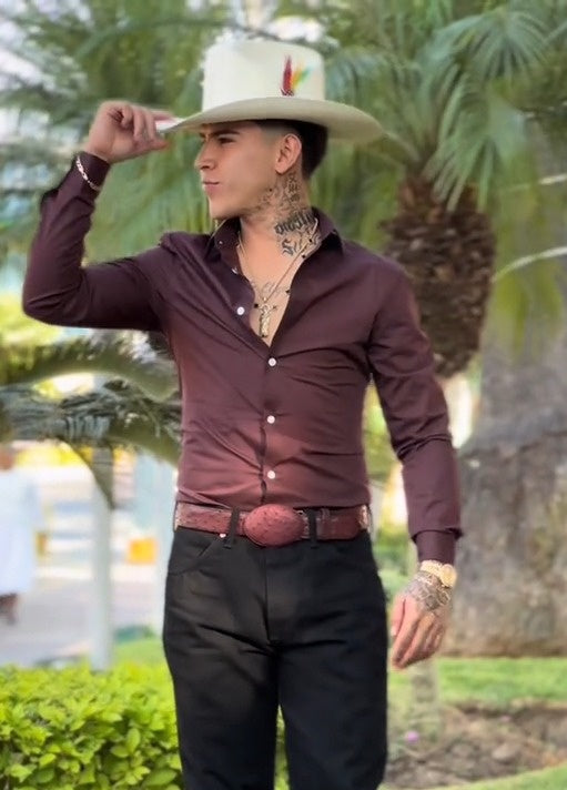 Dark Purple Stretch Long Sleeve Dress Shirt