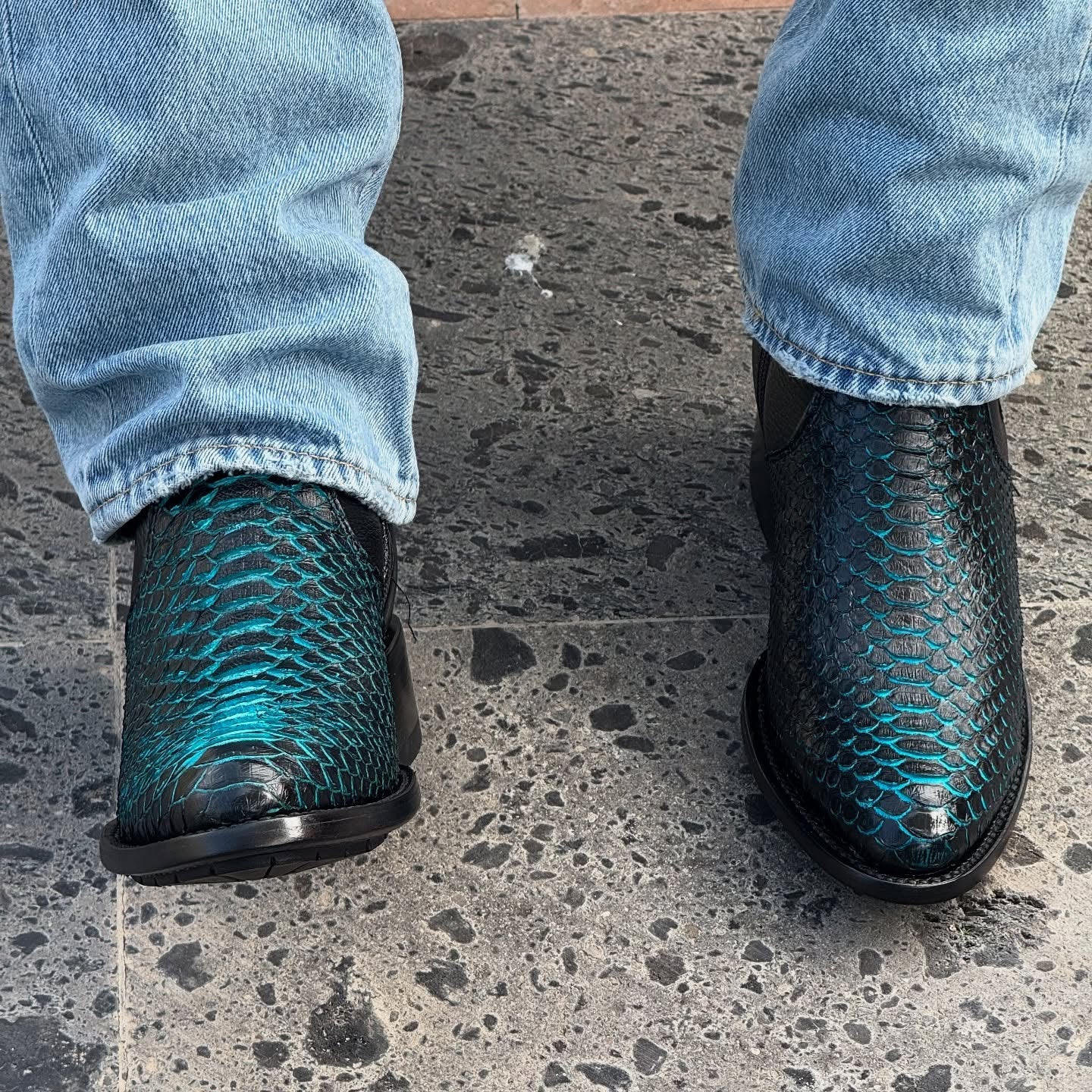 Gradient Python Boots