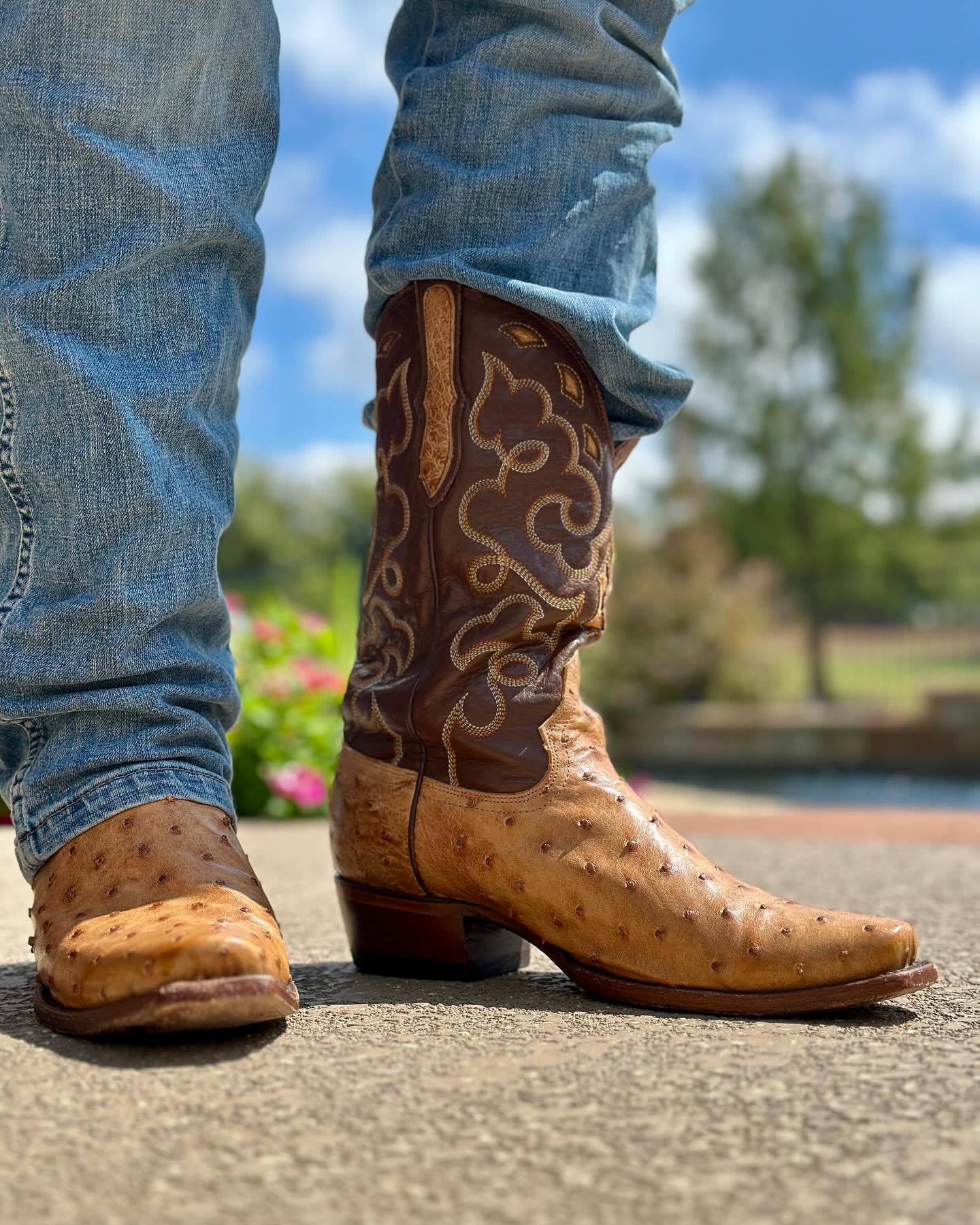 Handmade Ostrich Boots