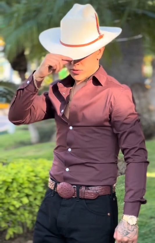 Dark Purple Stretch Long Sleeve Dress Shirt